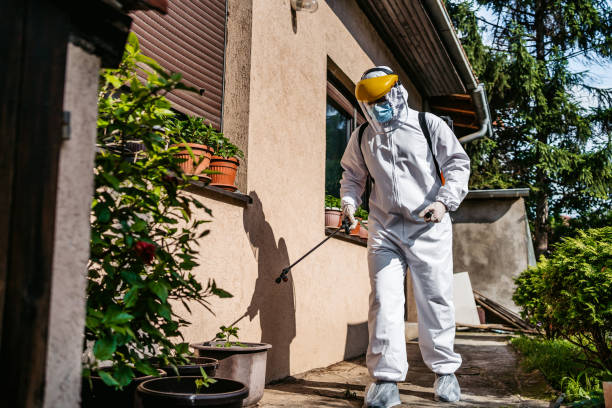 Best Spider Control Near Me  in Flemington, GA