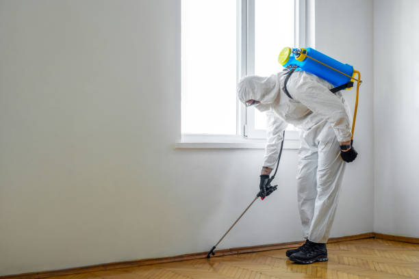 Wildlife Control Services in Flemington, GA