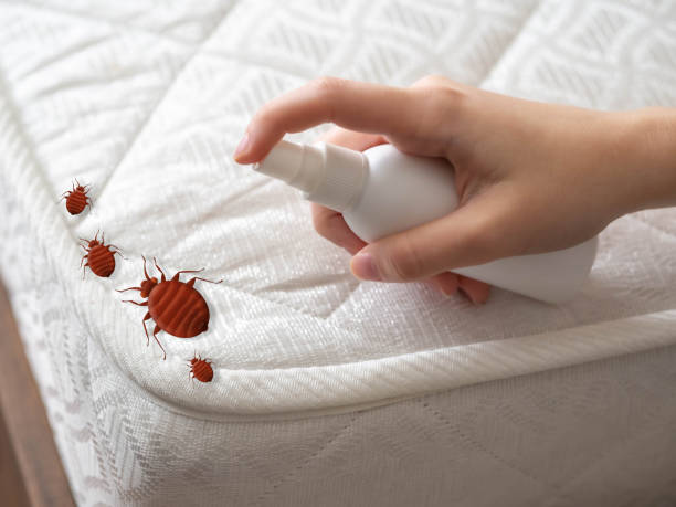 Best Affordable Pest Control Services  in Flemington, GA