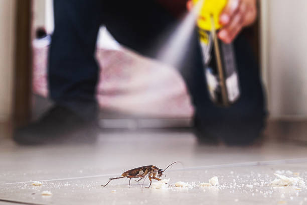 Best Pest Removal Services  in Flemington, GA