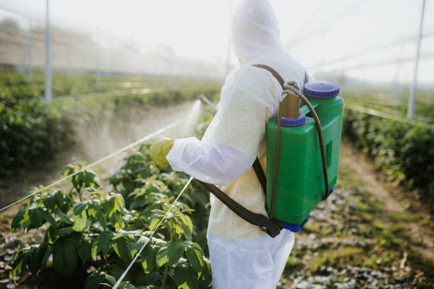 Best Commercial Pest Control Services  in Flemington, GA
